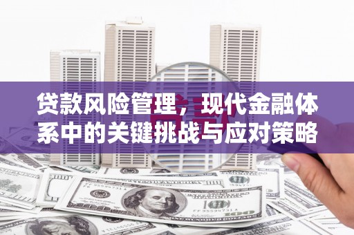 屏山贷款风险管理，现代金融体系中的关键挑战与应对策略