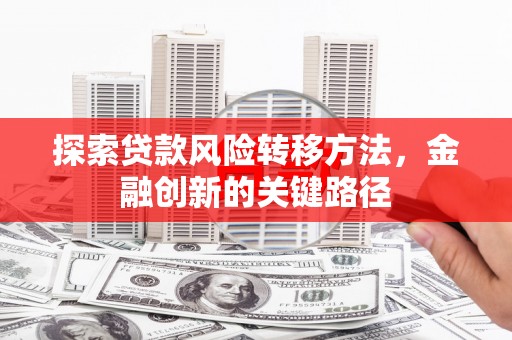 屏山探索贷款风险转移方法，金融创新的关键路径
