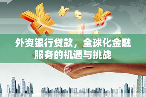 屏山外资银行贷款，全球化金融服务的机遇与挑战