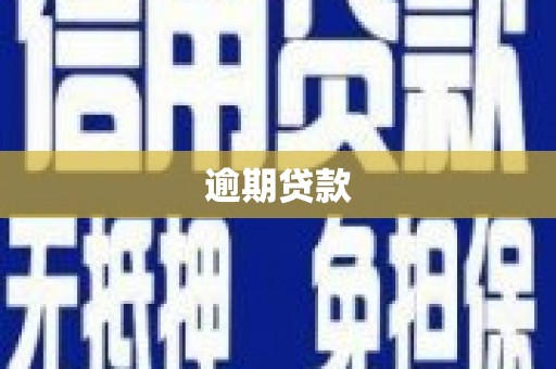 屏山逾期贷款